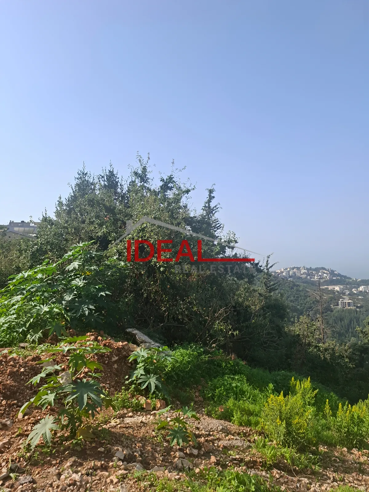 Land for Sale in Ghadras