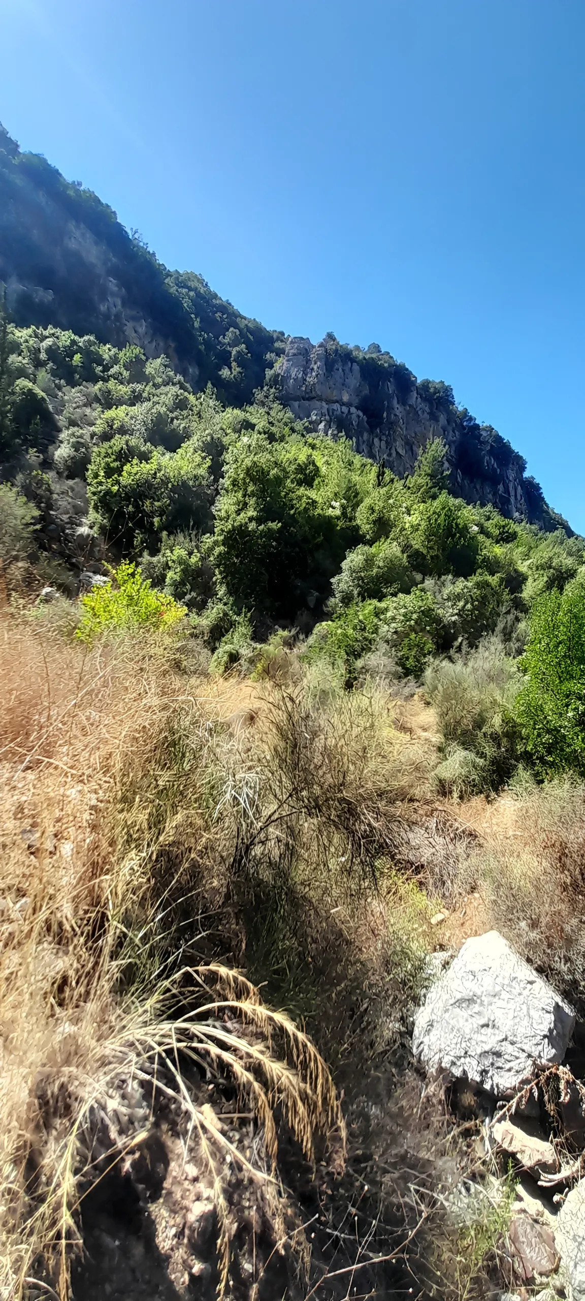 Land for sale in Yahchouch, lebanon