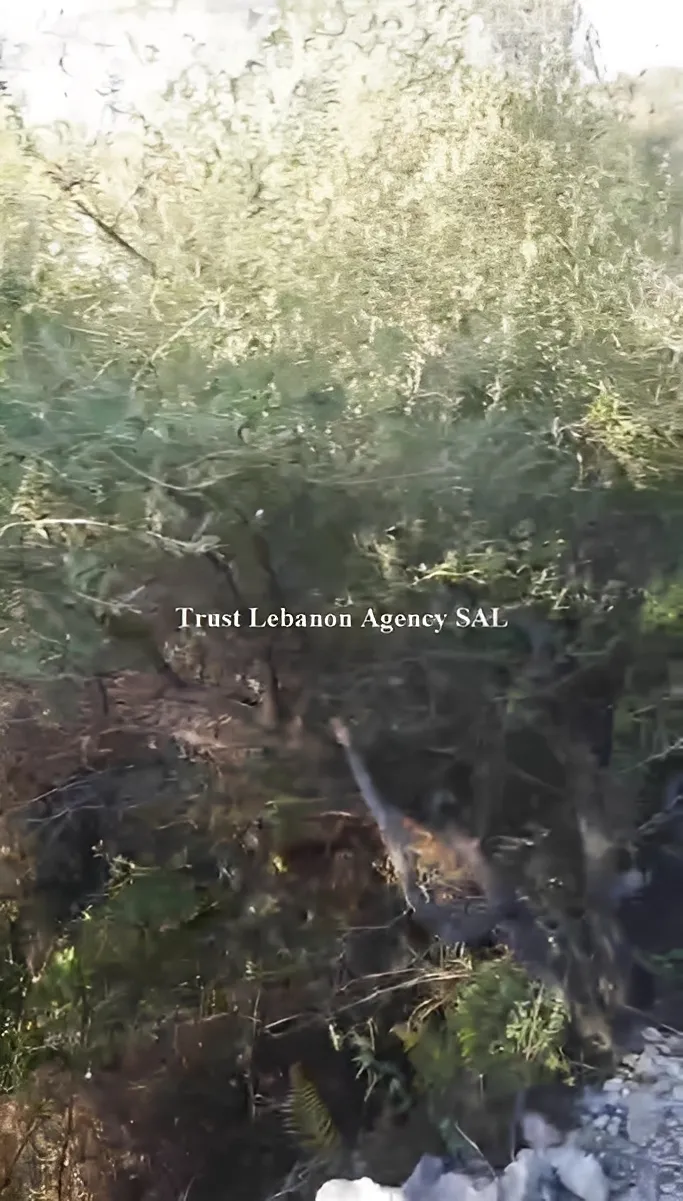 Land for Sale in Jbeil