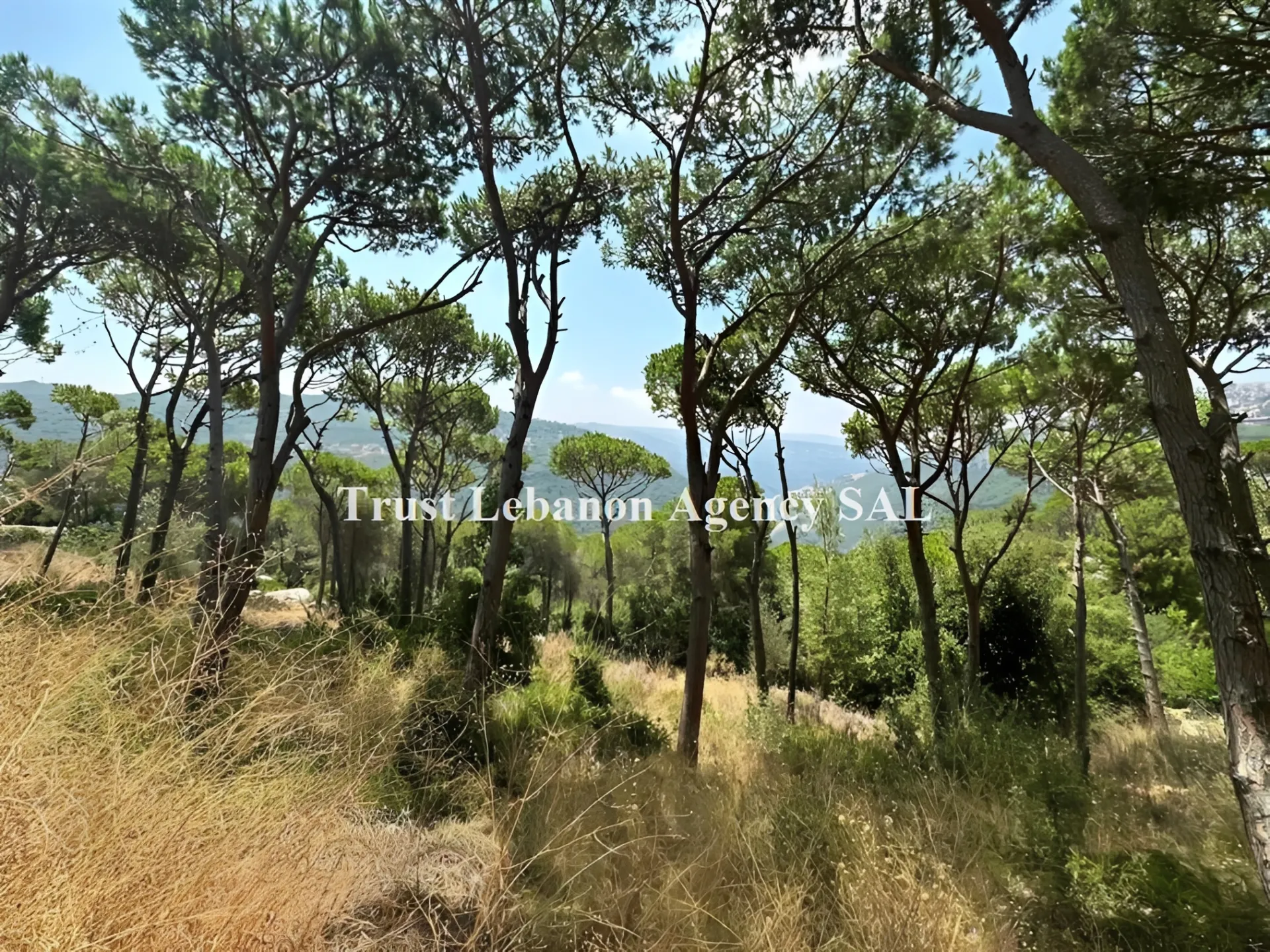 Land for Sale in Metn Broumana Lebanon