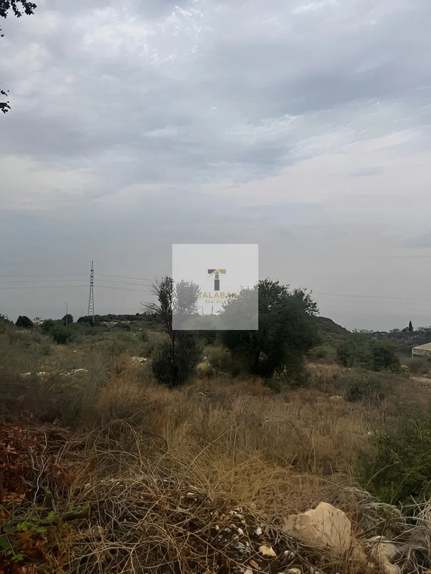 Land for Sale in Edde, Lebanon