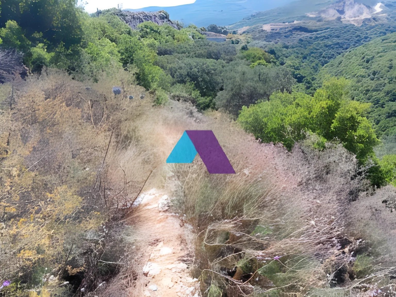 Land for Sale in Batroun