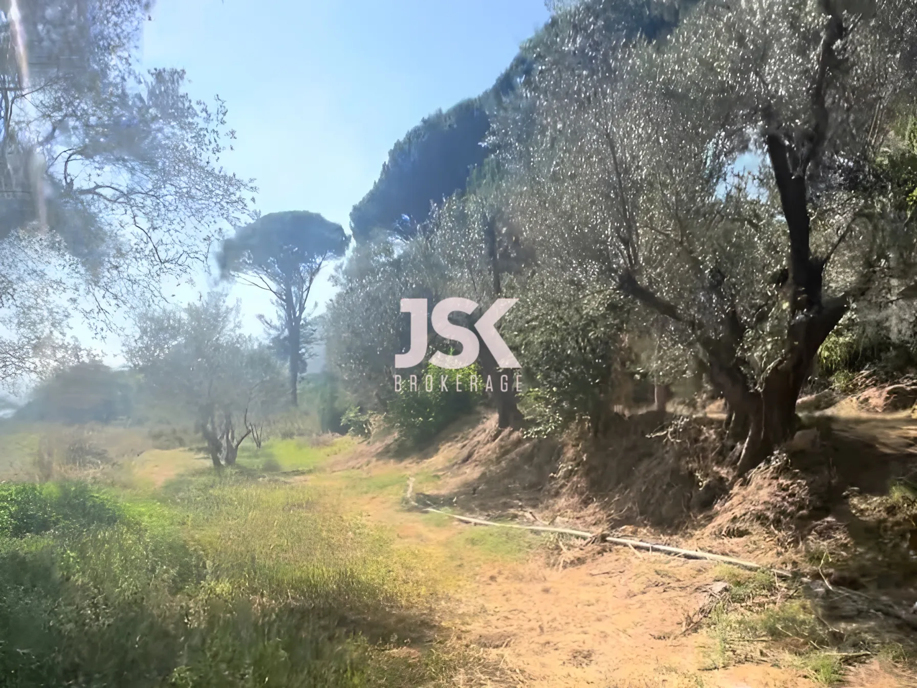Land for Sale in Aley