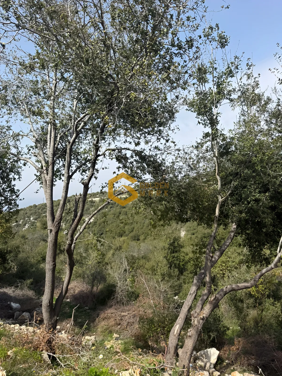 Land for Sale in Batroun