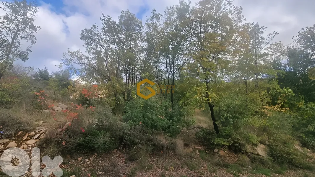 Land for Sale in Bikfaiya