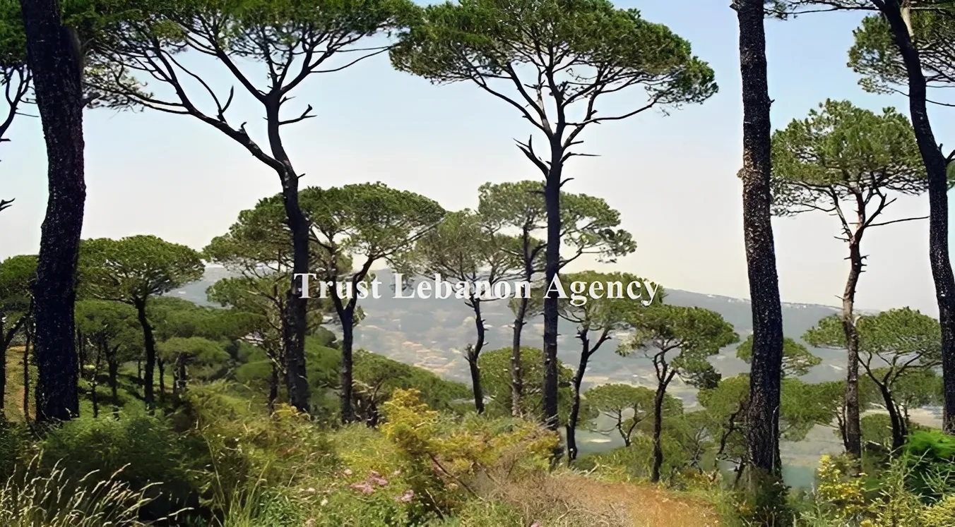 Land for Sale in Alay, Ain Ounoub