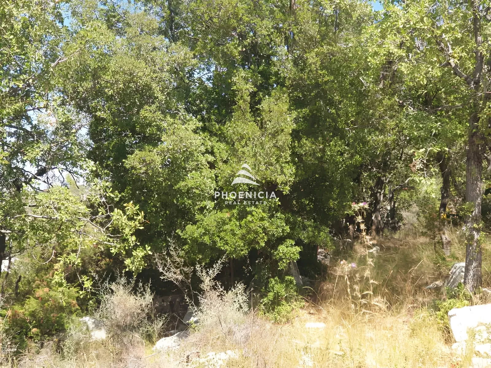 Land for Sale in Mechmech
