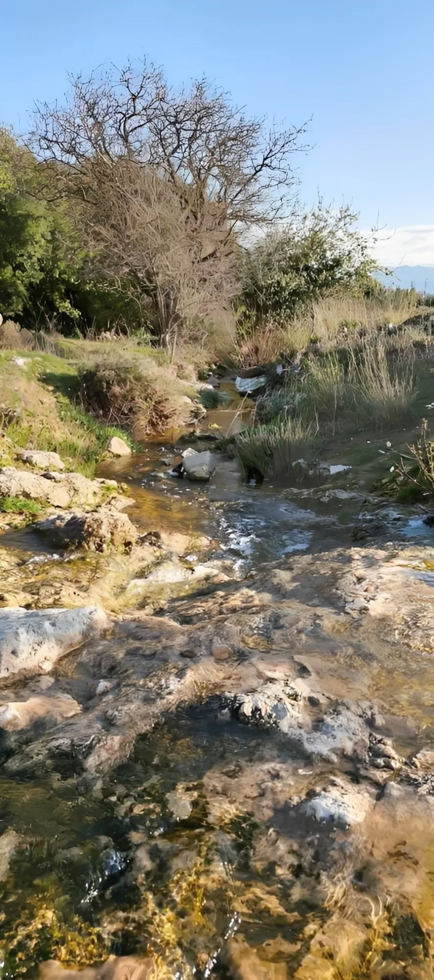Land for Sale in Bechmizzine, Lebanon