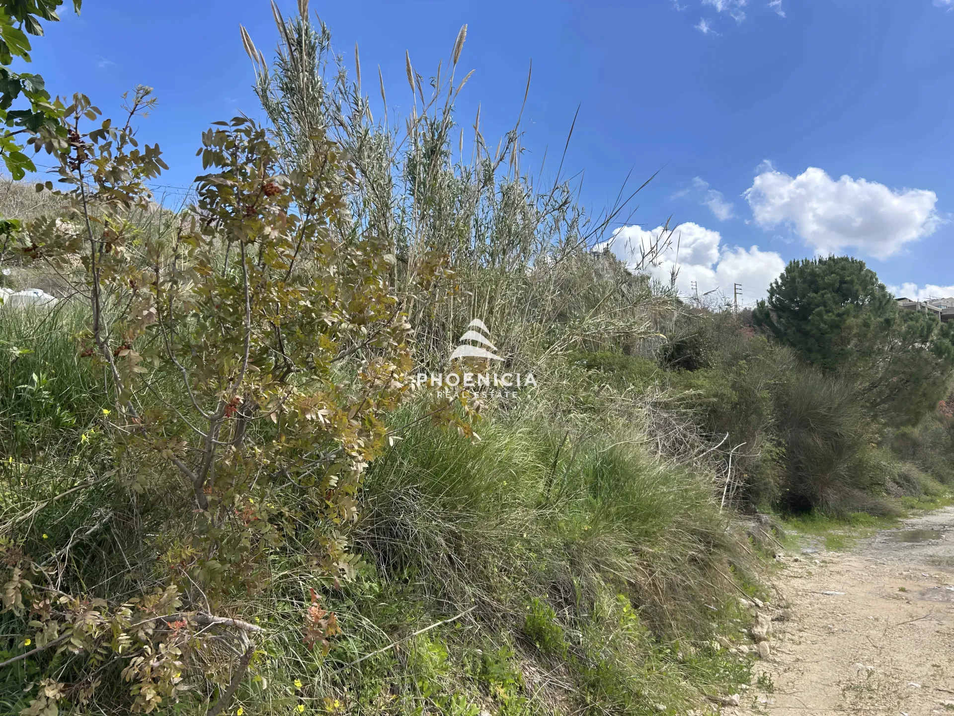 Land for Sale in Habboub