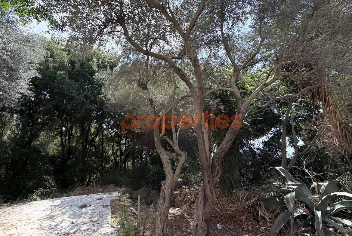 Residential Land for Sale in Ain Saadeh