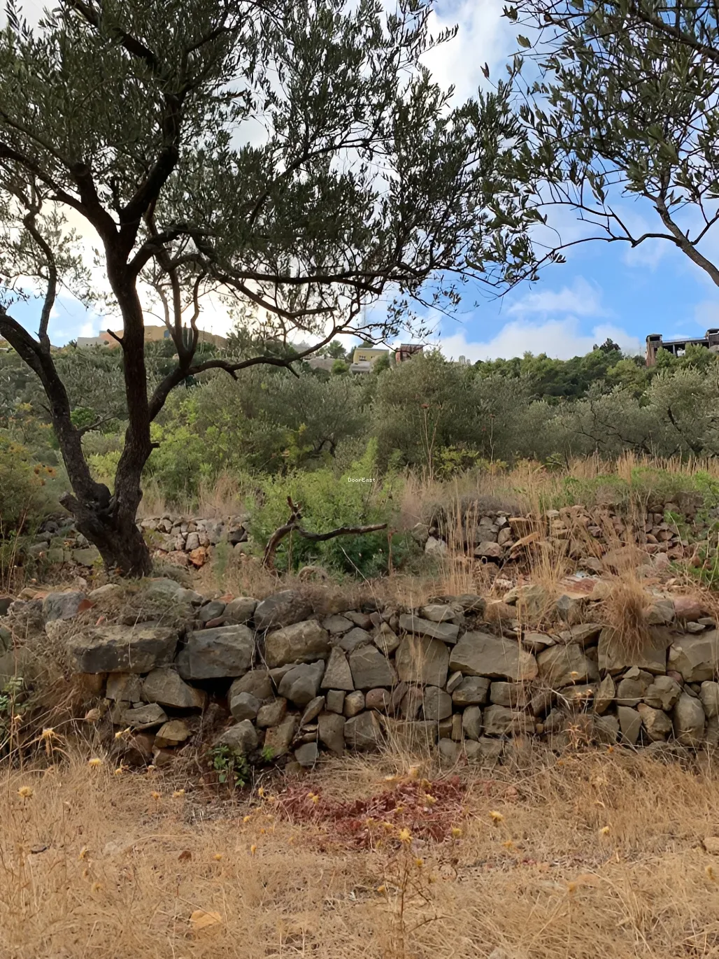 Land for sale in Haret El Sett