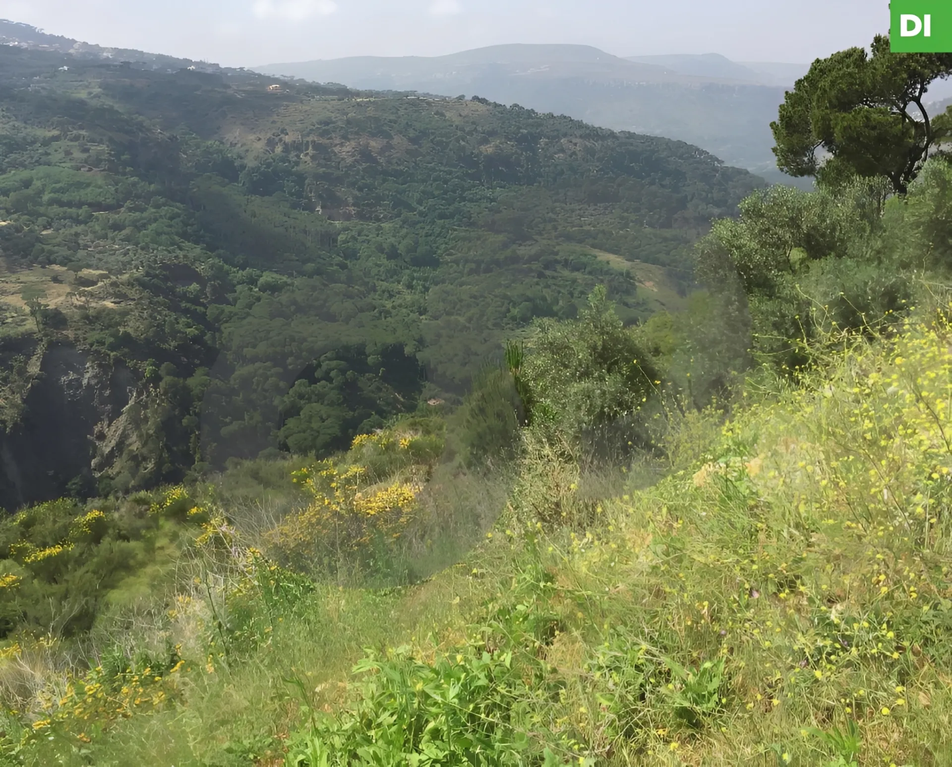 Land for Sale in Jezzine, Lebanon