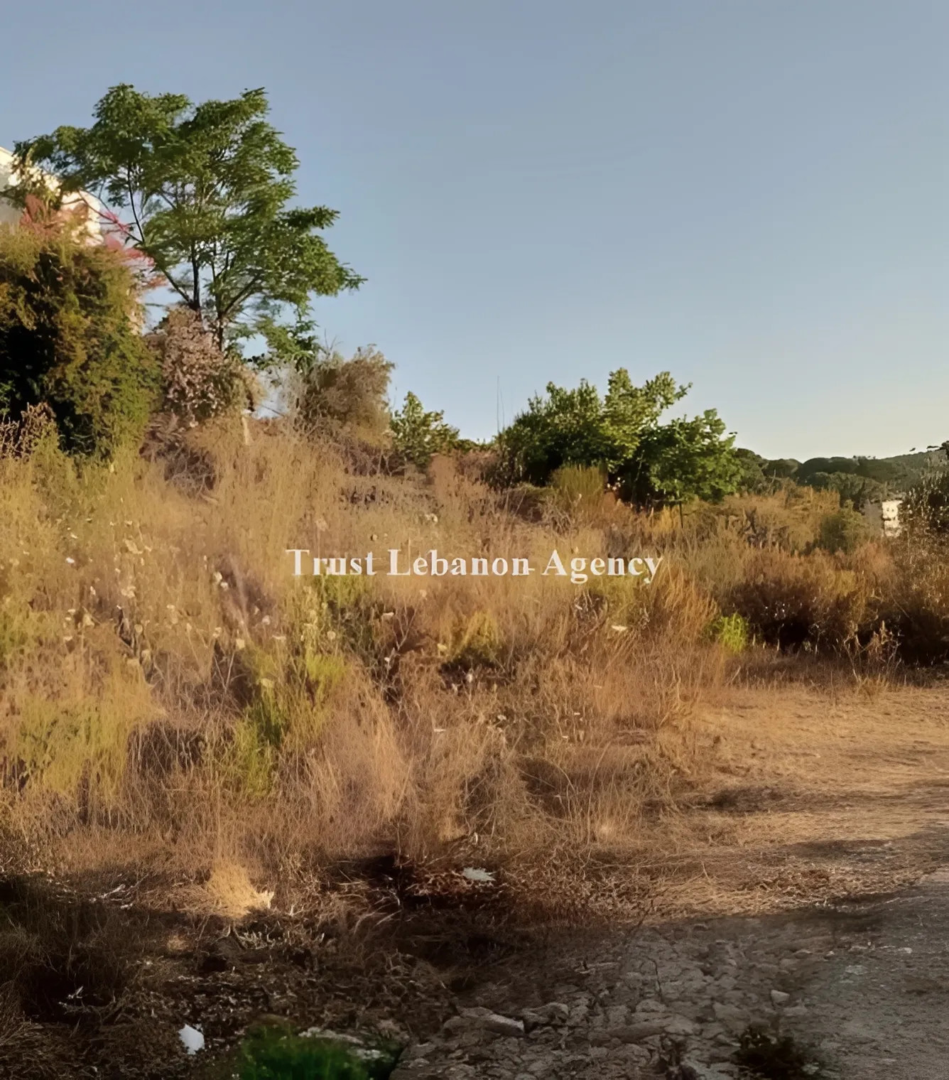 Land for Rent in Alay, Ain Ounoub