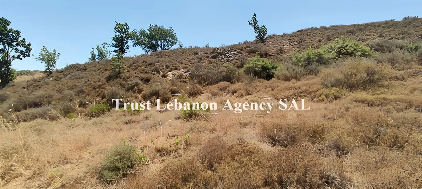 Land for Sale in Rashaya Lebanon