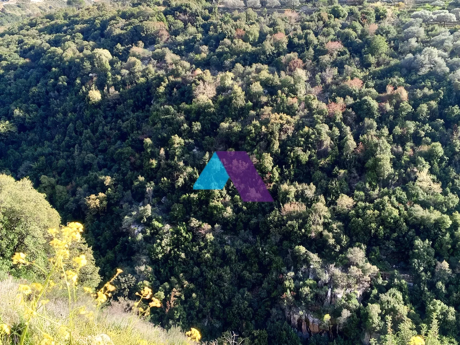 Land for Sale in Batroun