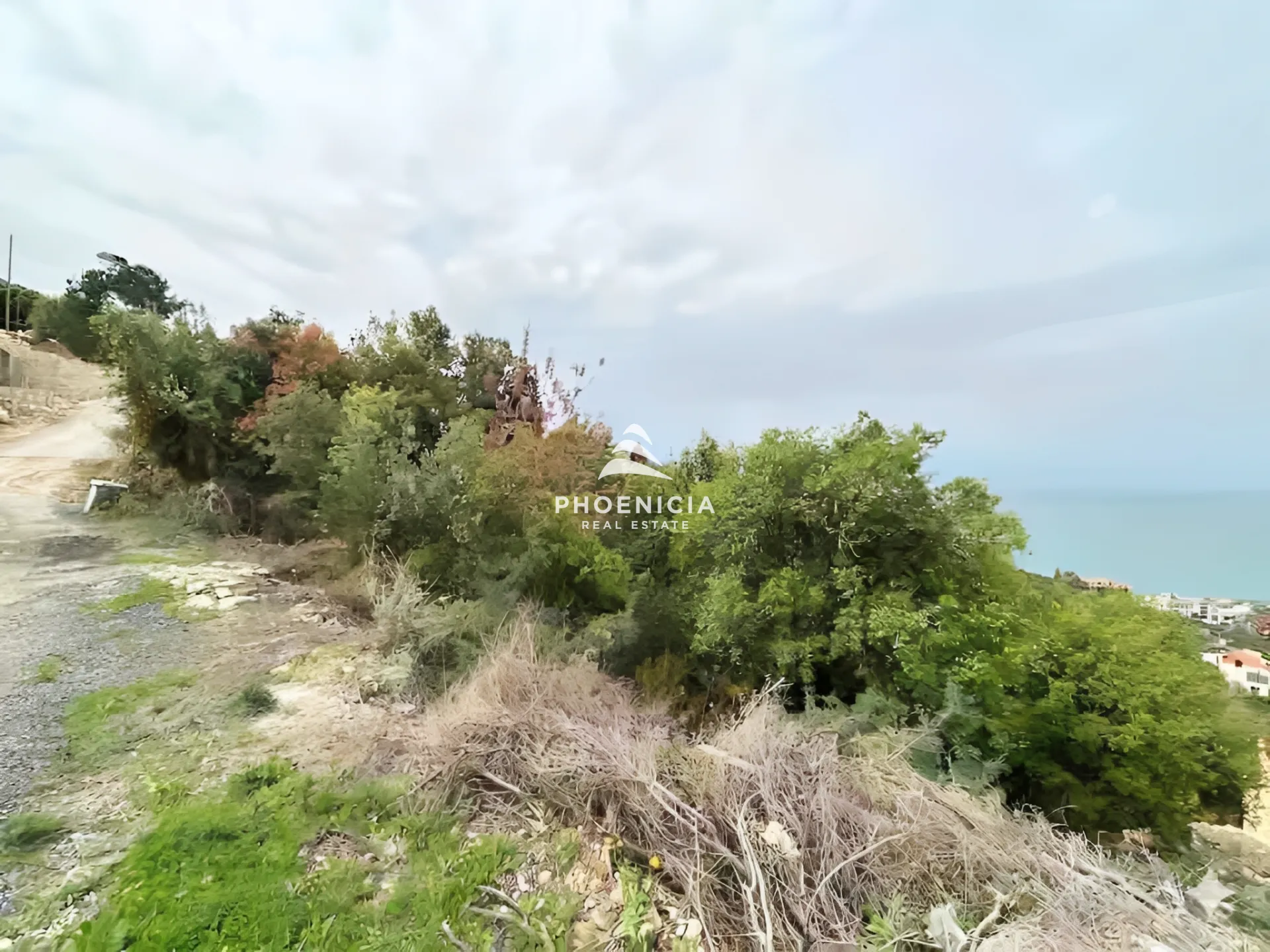 Land for Sale in Fidar