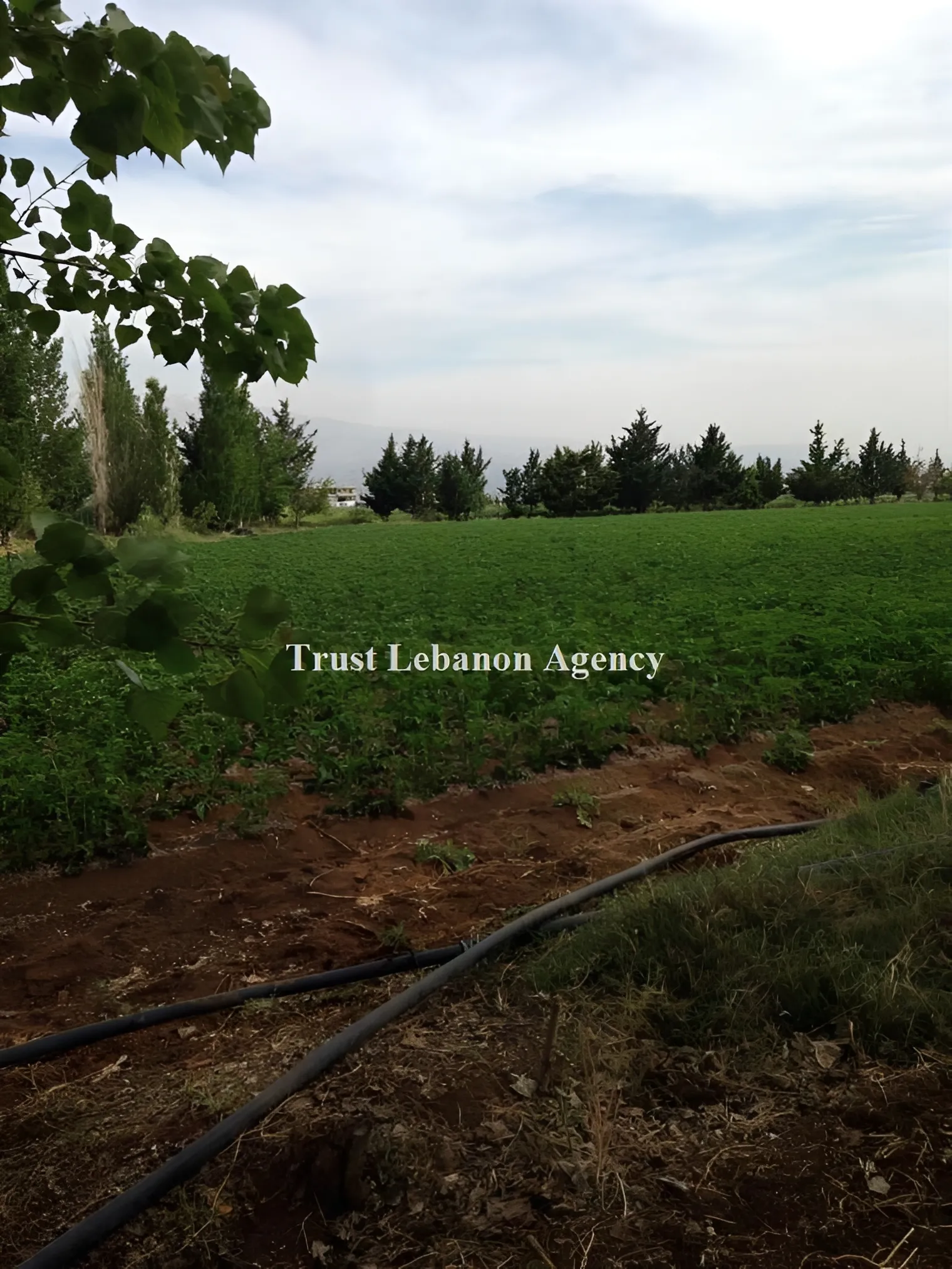 Villa for Sale in Zahle