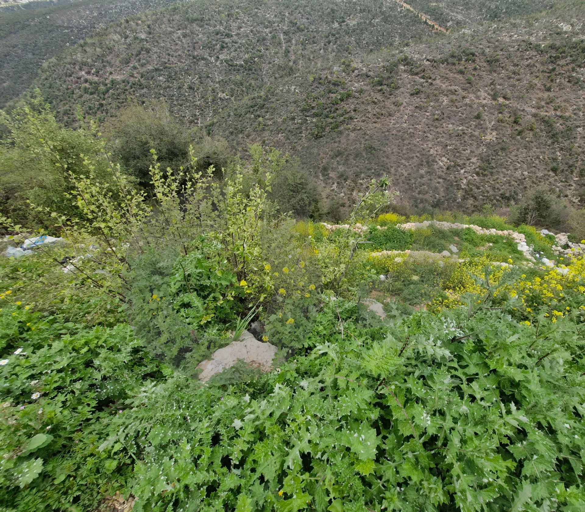 Land for Sale in Ras Osta