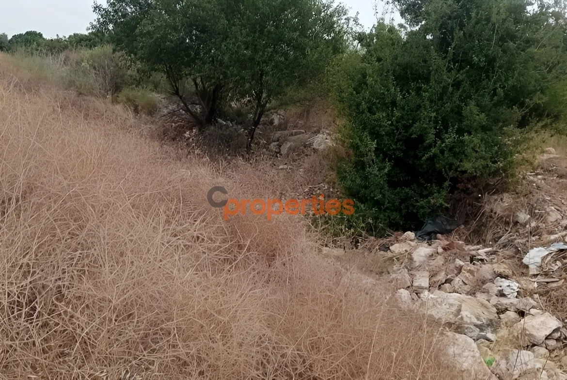 Land for Sale in Edde
