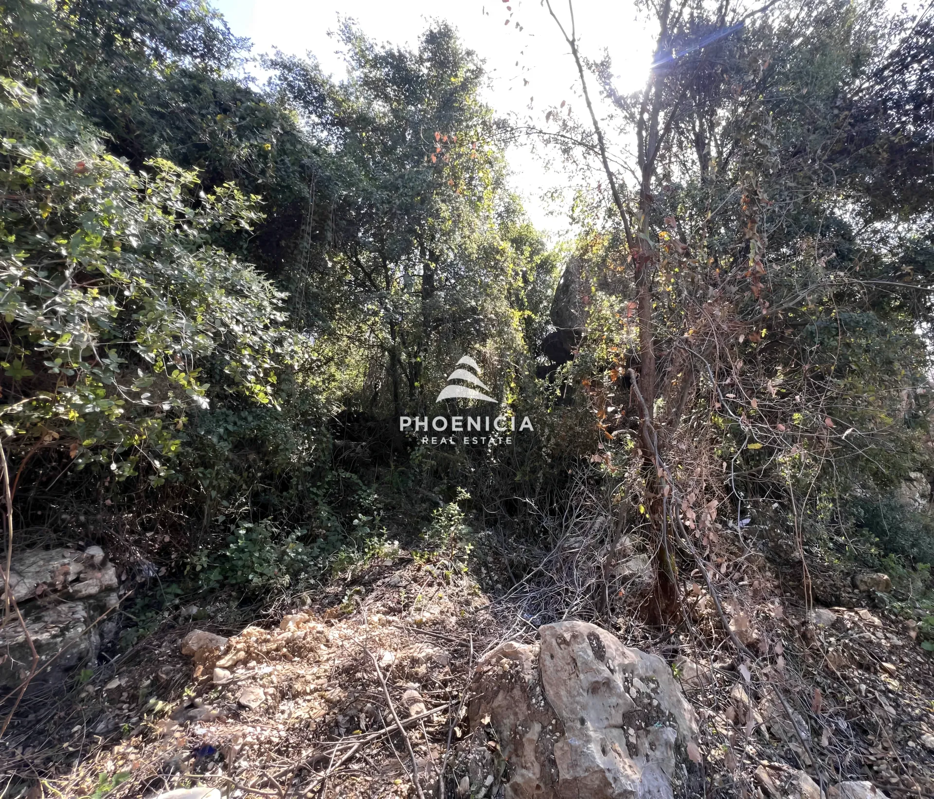 Land for Sale in Lehfed