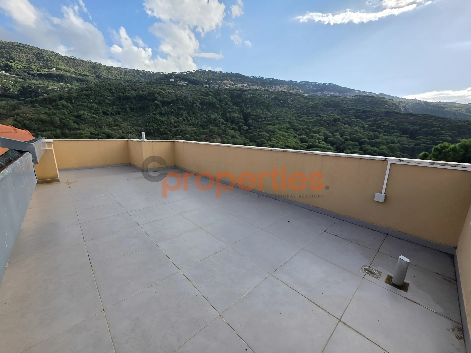 Apartment for Sale in Baabdat