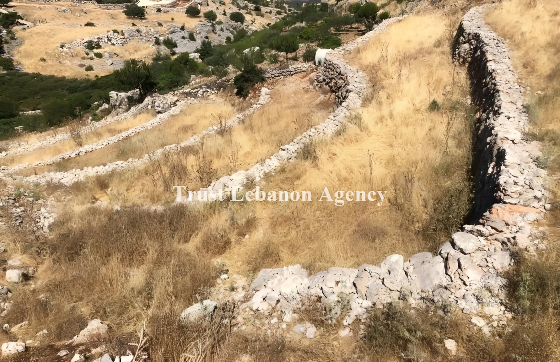 Land for Sale in Nabatiye