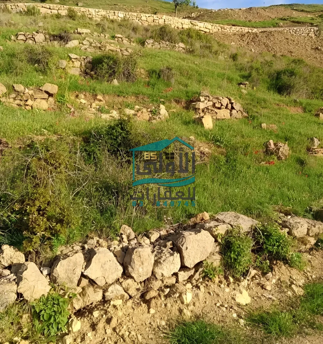Land in عين زحلتا، lebanon