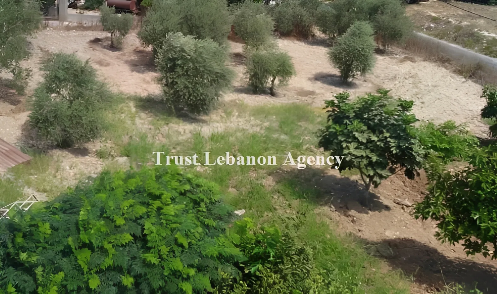 Land for Sale in Nabatiye