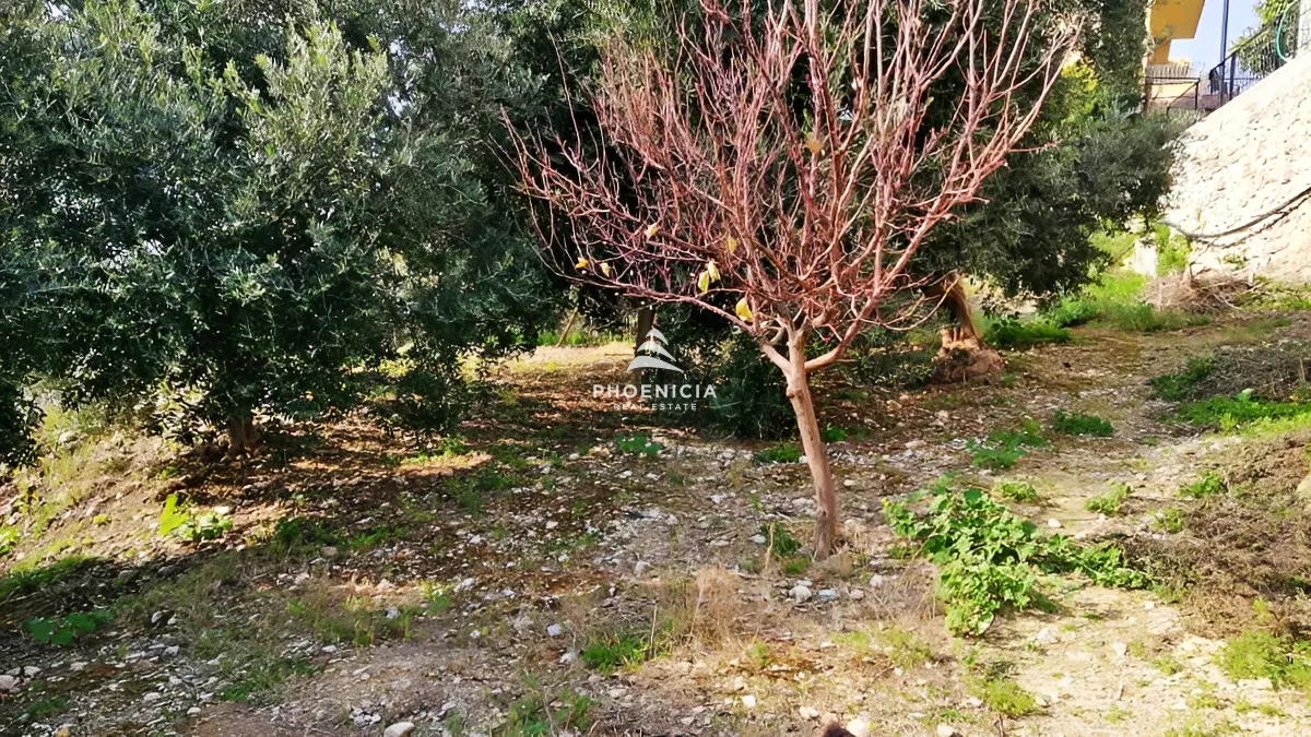 Land for Sale in Blat