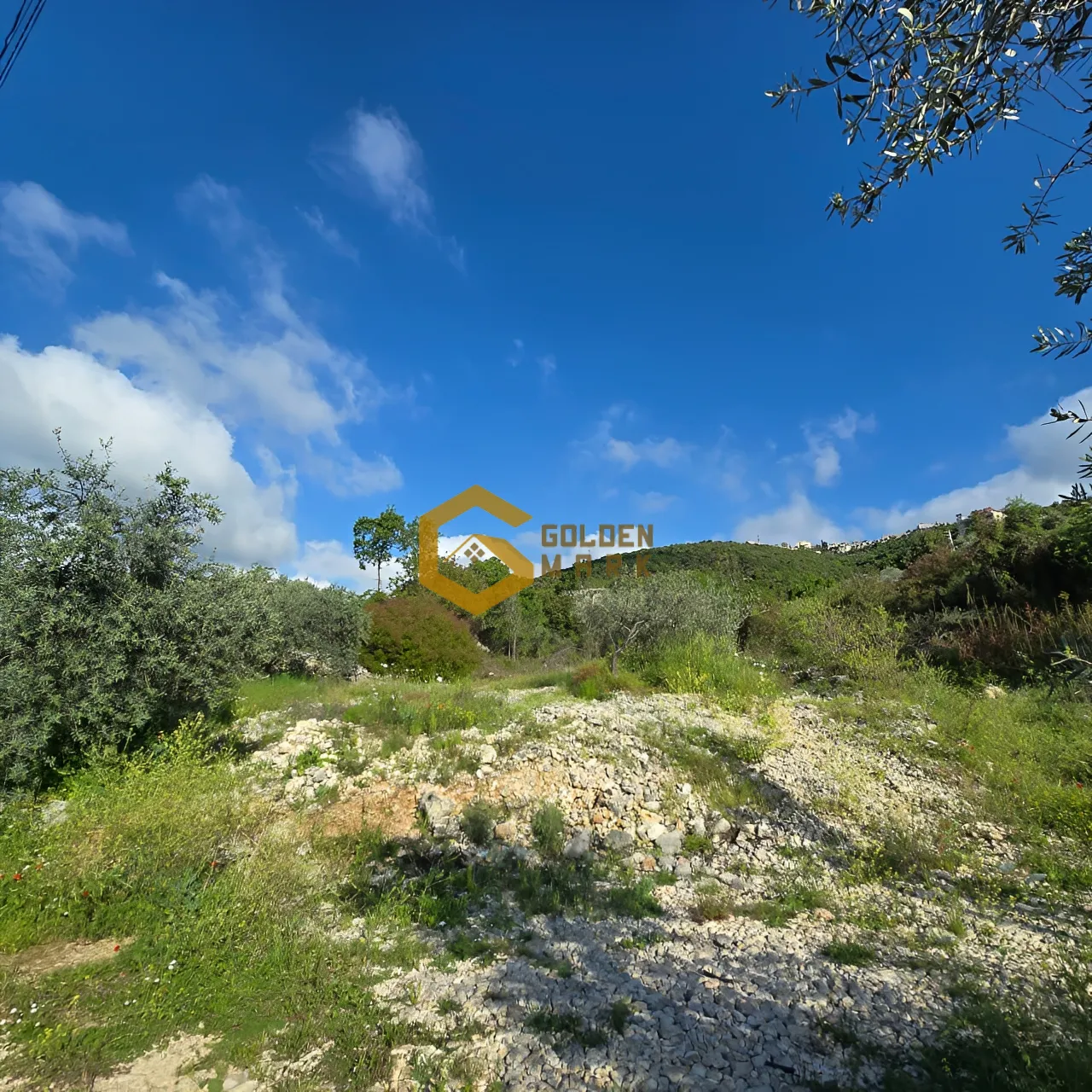 Land for Sale in Chabtine