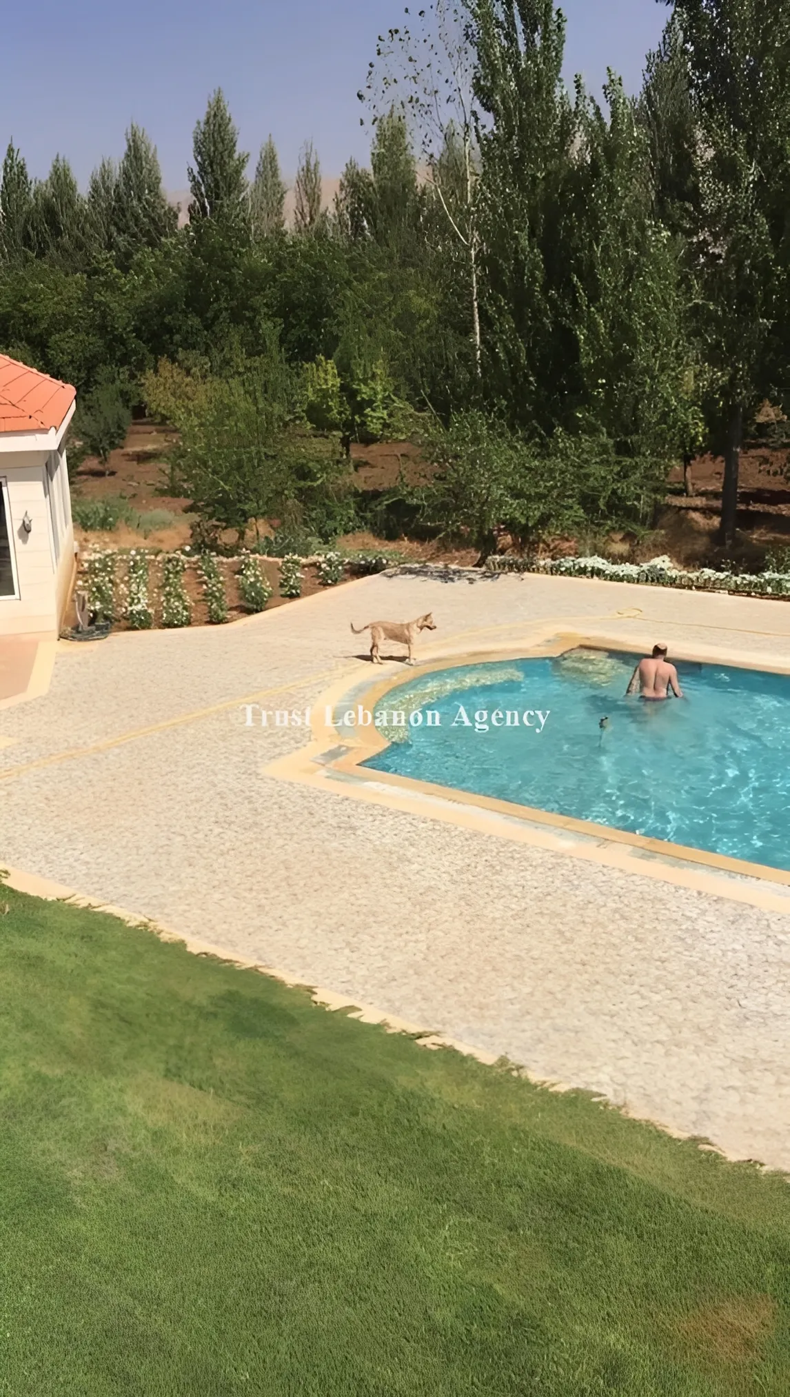 Villa for Sale in Zahle - 4 bed, 4 bath