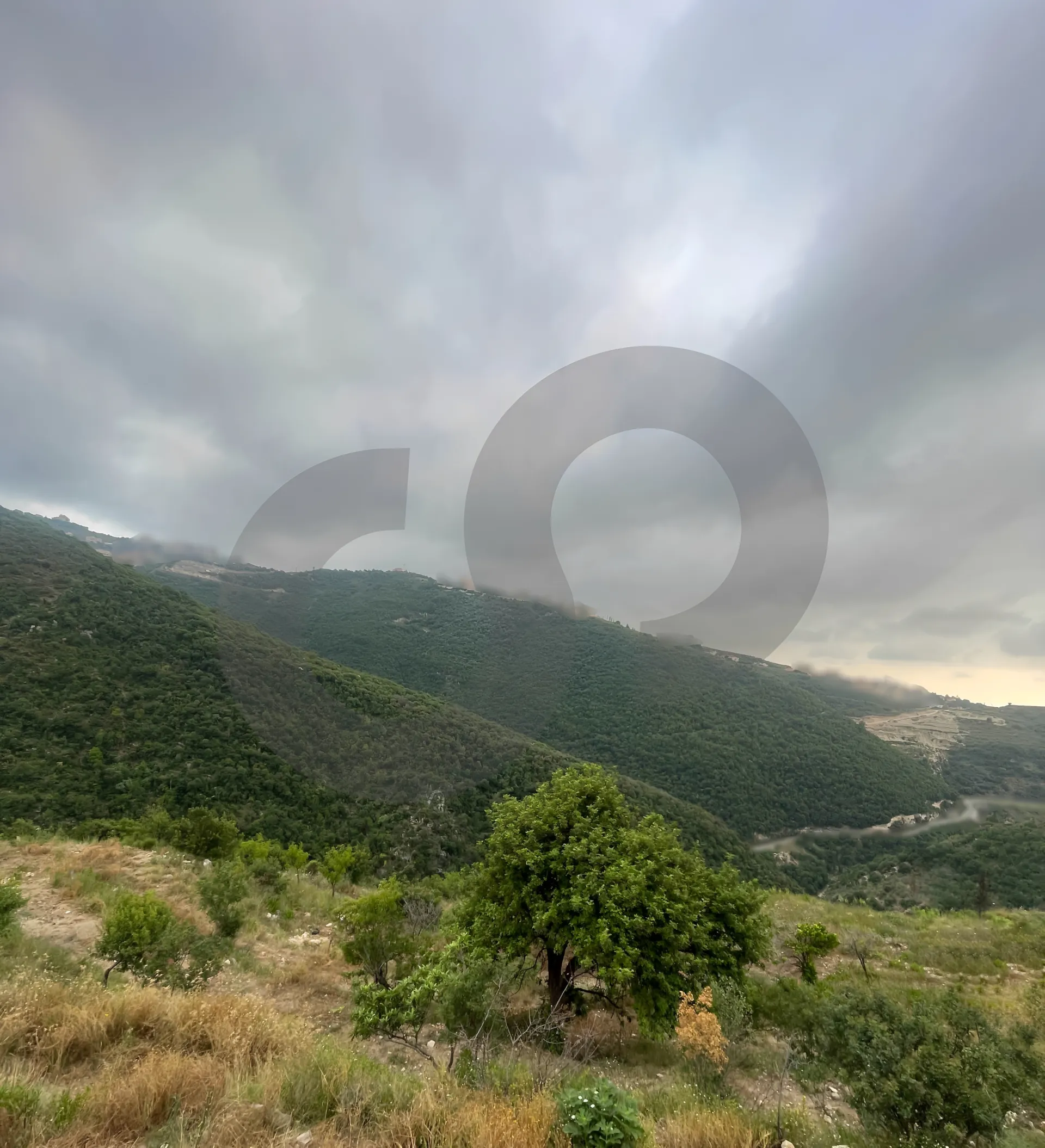 Land for Sale in Edde
