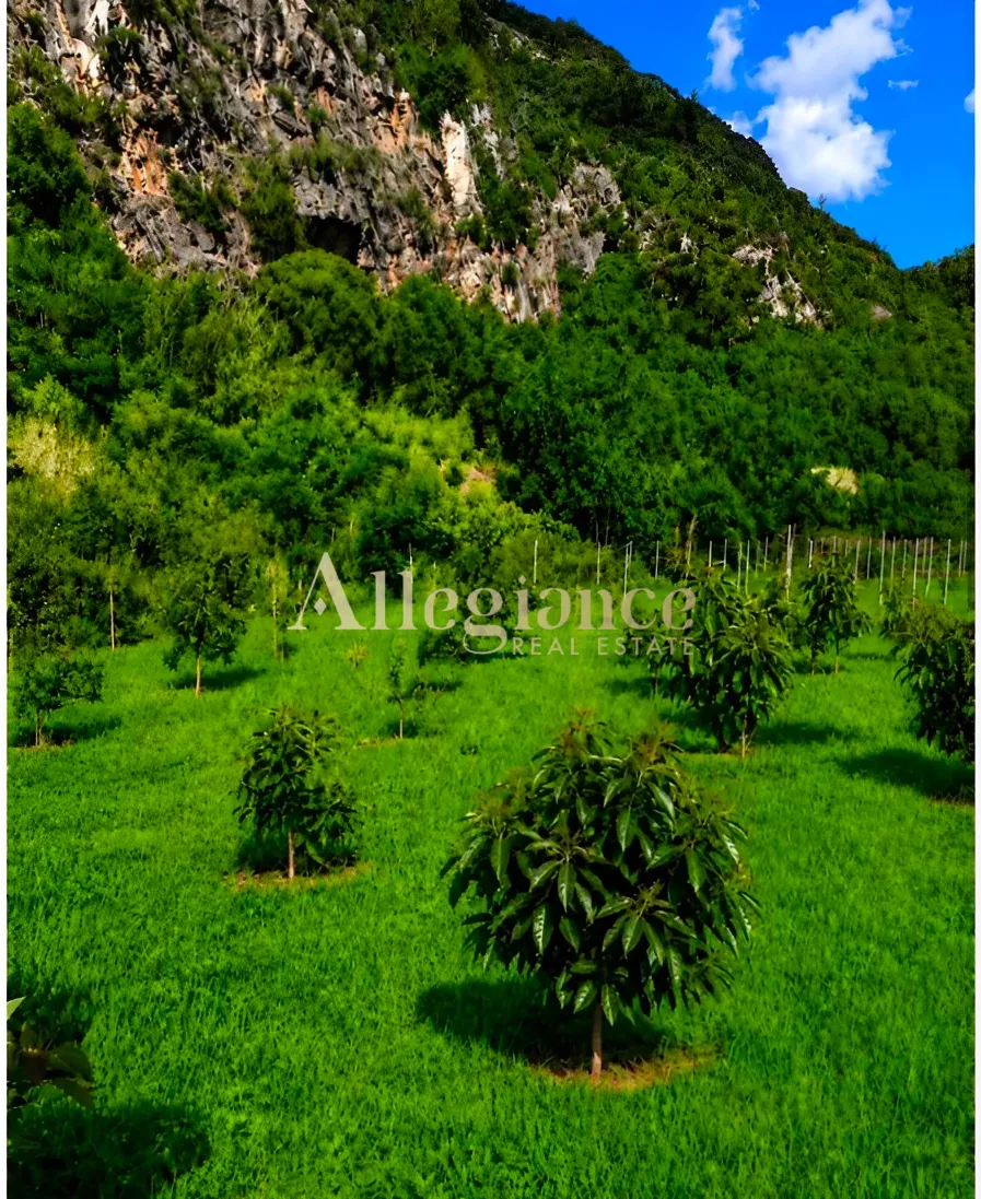 Residential Land for sale in Damour, Lebanon