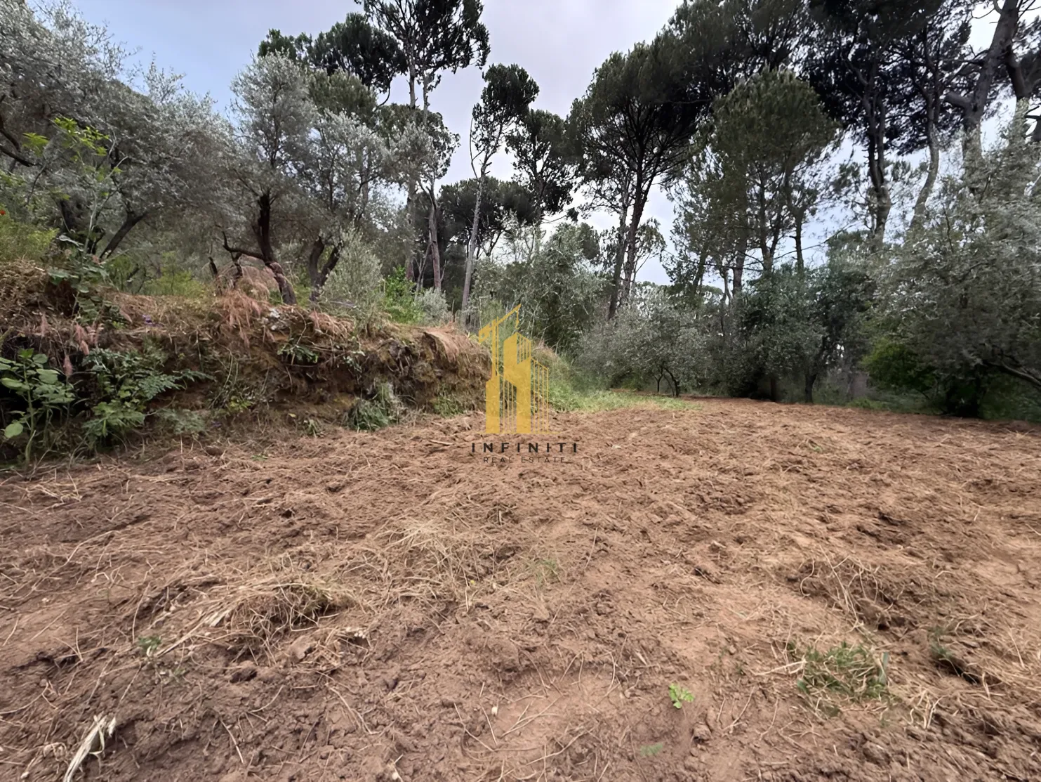 Residential Land for sale in Ighmid, Lebanon