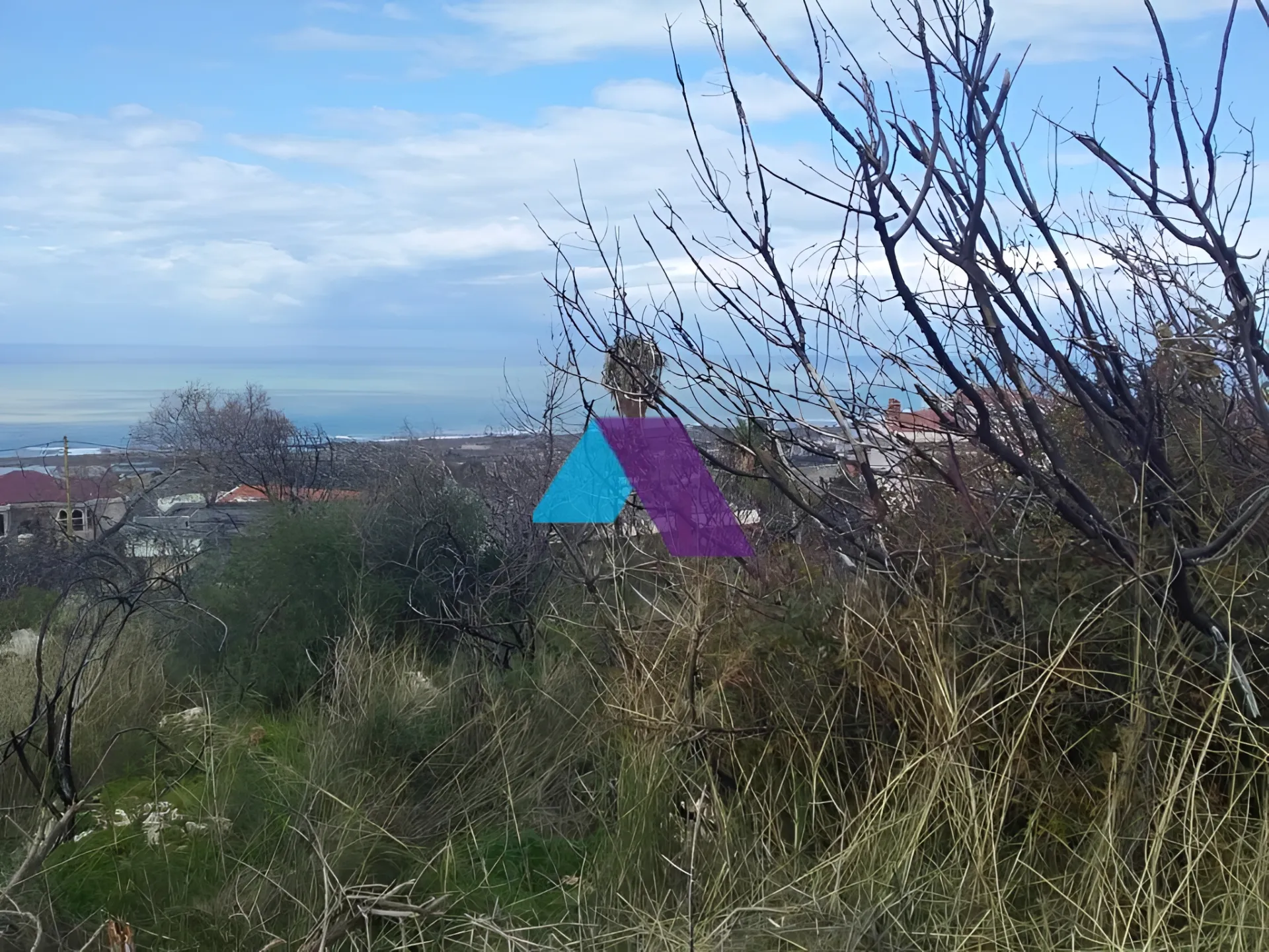 Land for Sale in Mechref