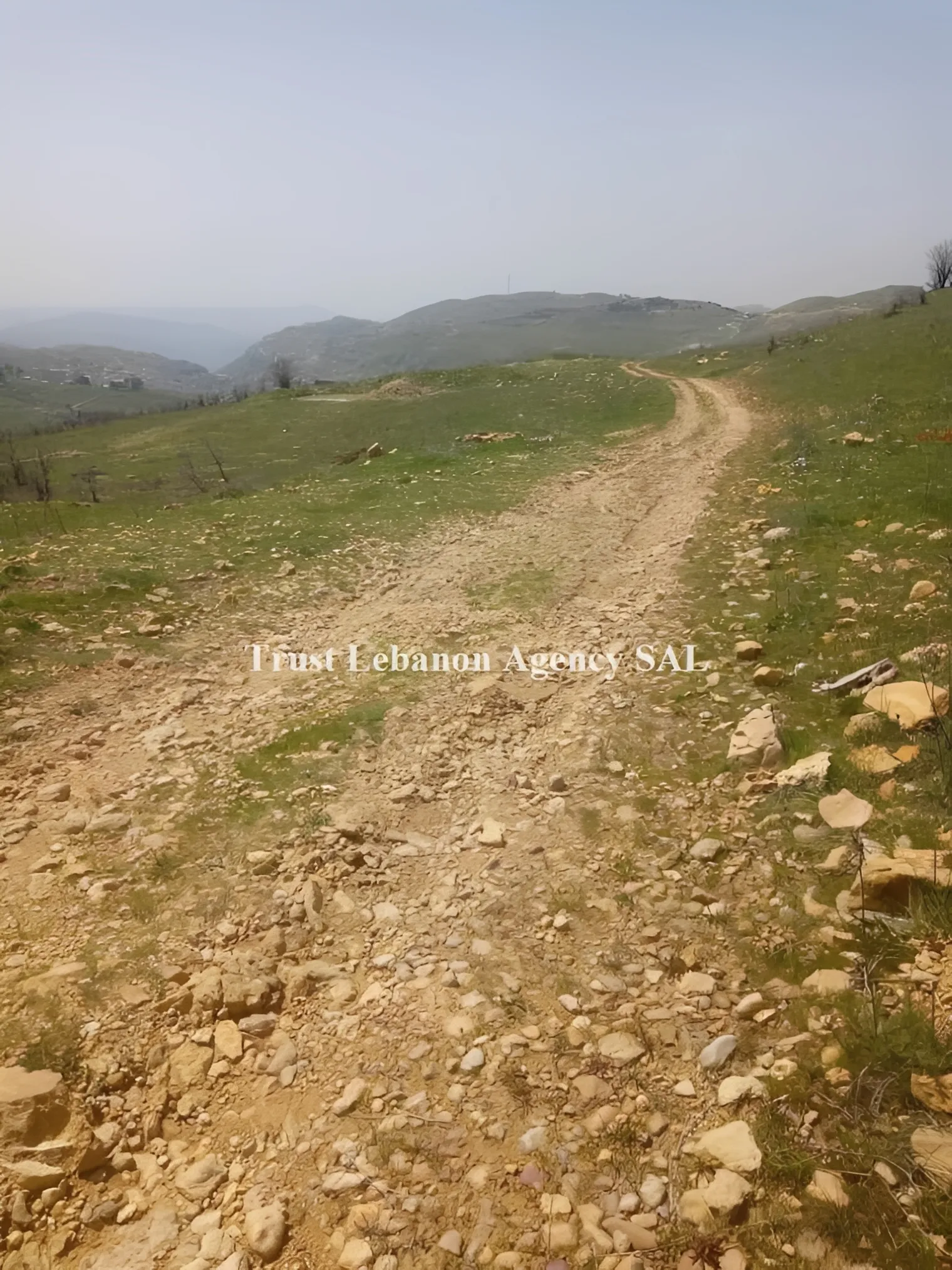 Land for Sale in Baabda Hammena Lebanon