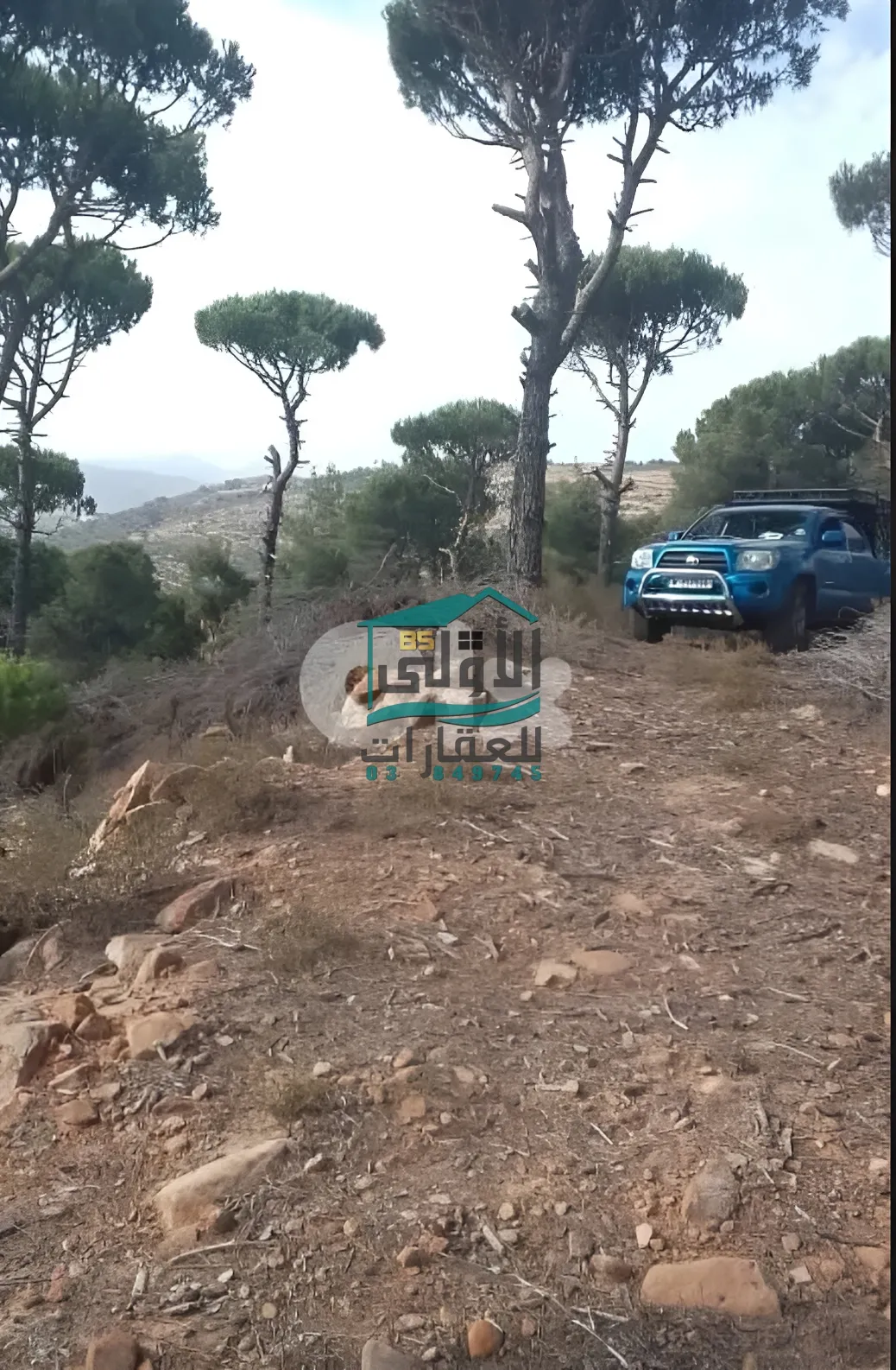 Land in الكفير، حاصبيّا، lebanon