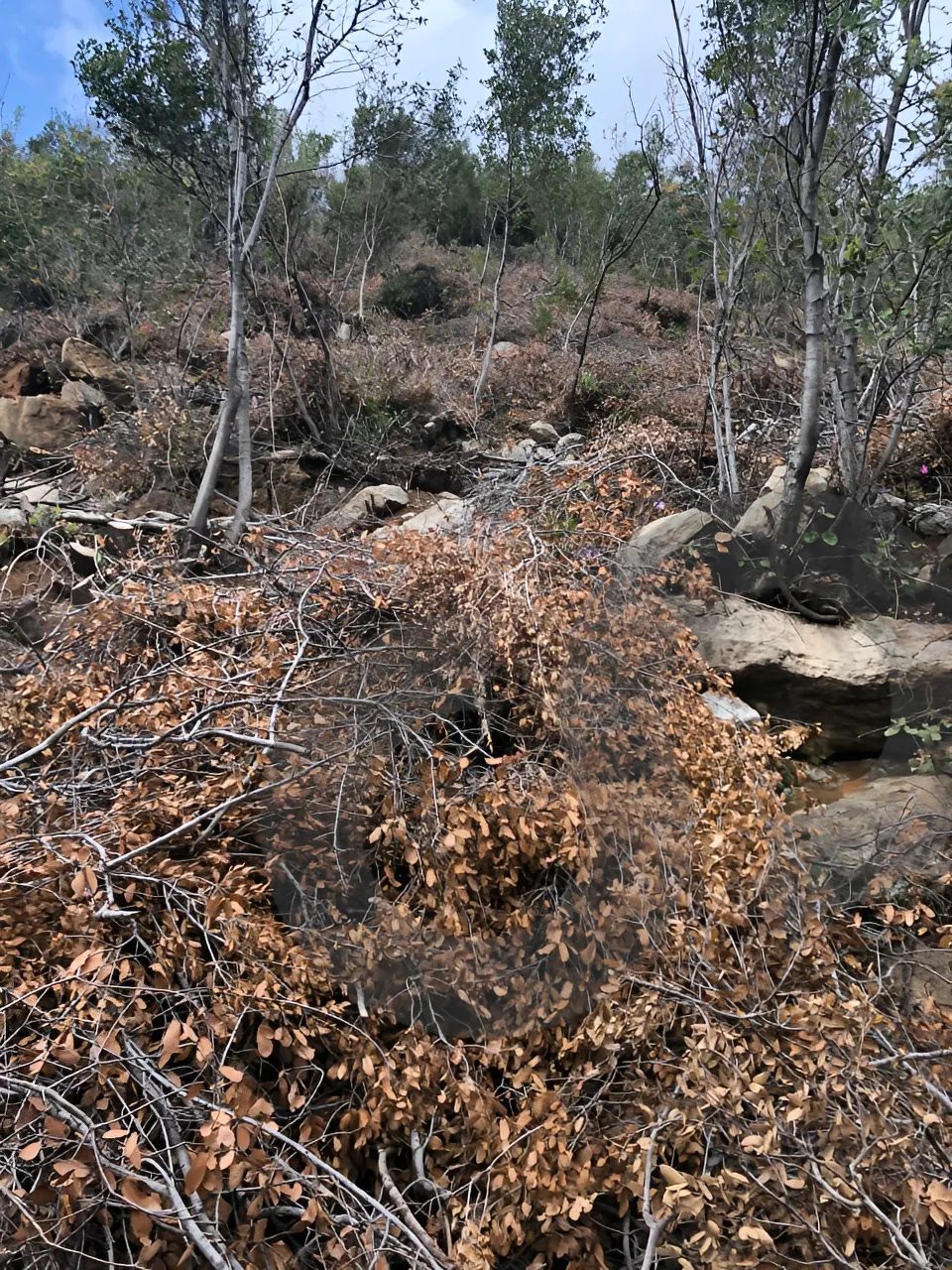 Land for Sale in Other