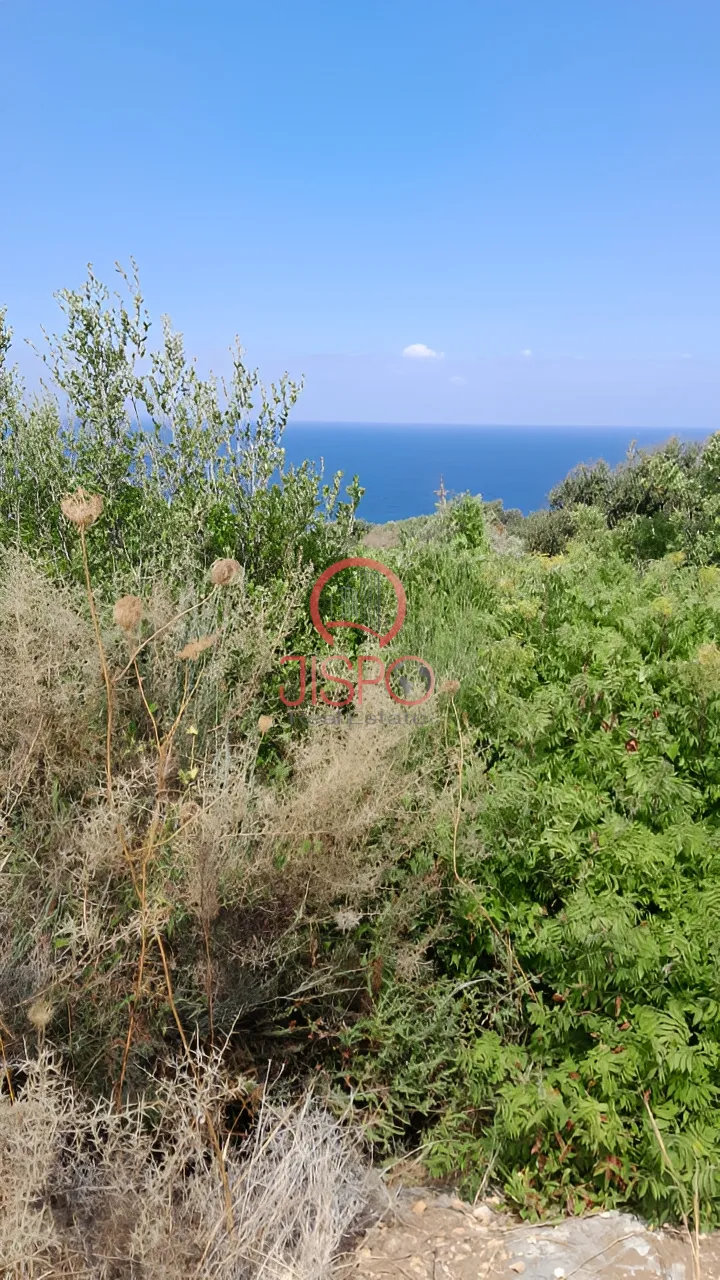 Land for Sale in Berbara