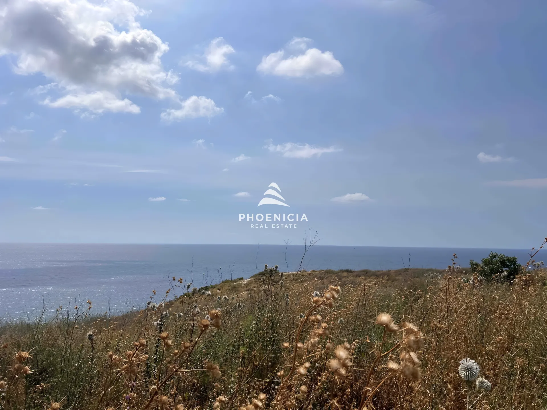 Land for Sale in Rihaniyye