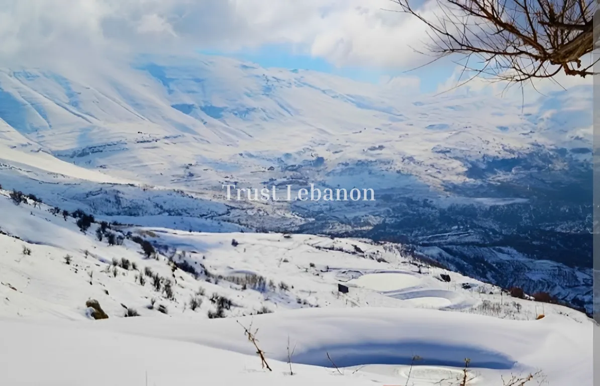 Residential Land for sale in Baskinta