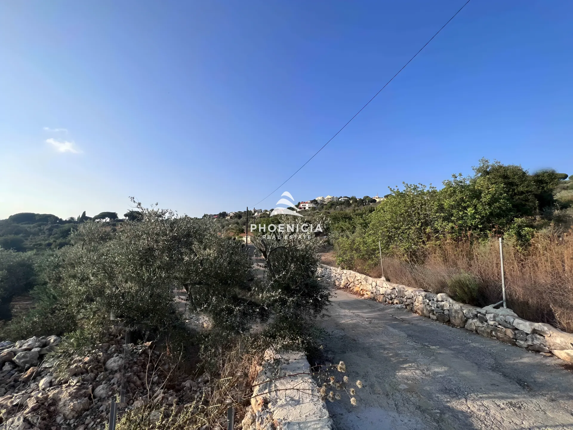 Land for Sale in Chikhane