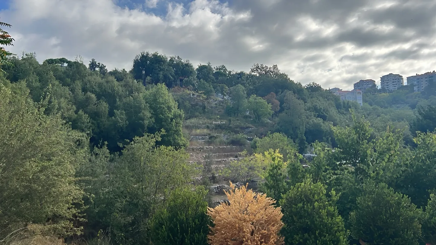 Land for sale in Rayfoun