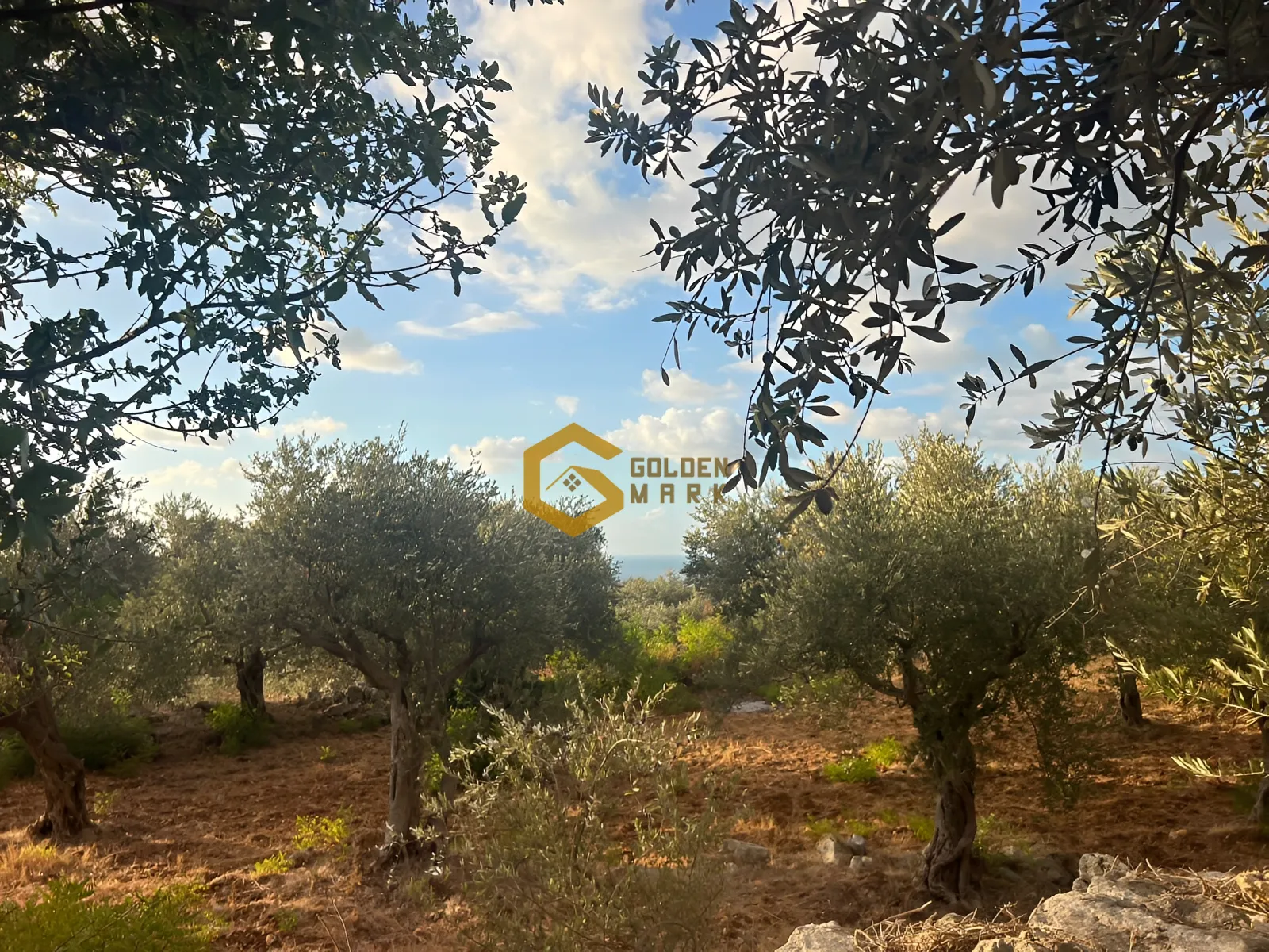 Land for Sale in Monsef