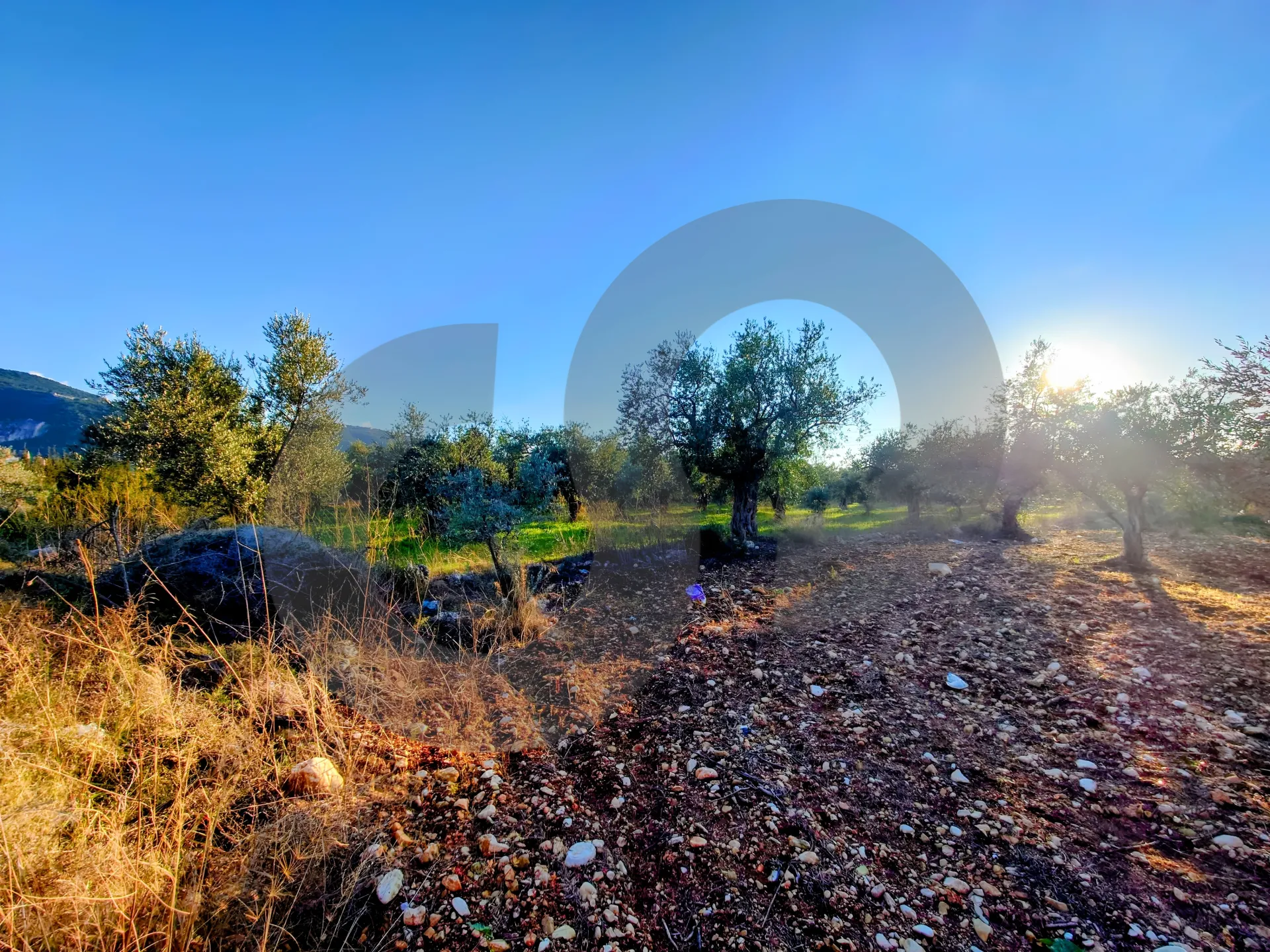 Land for Sale in Zgharta