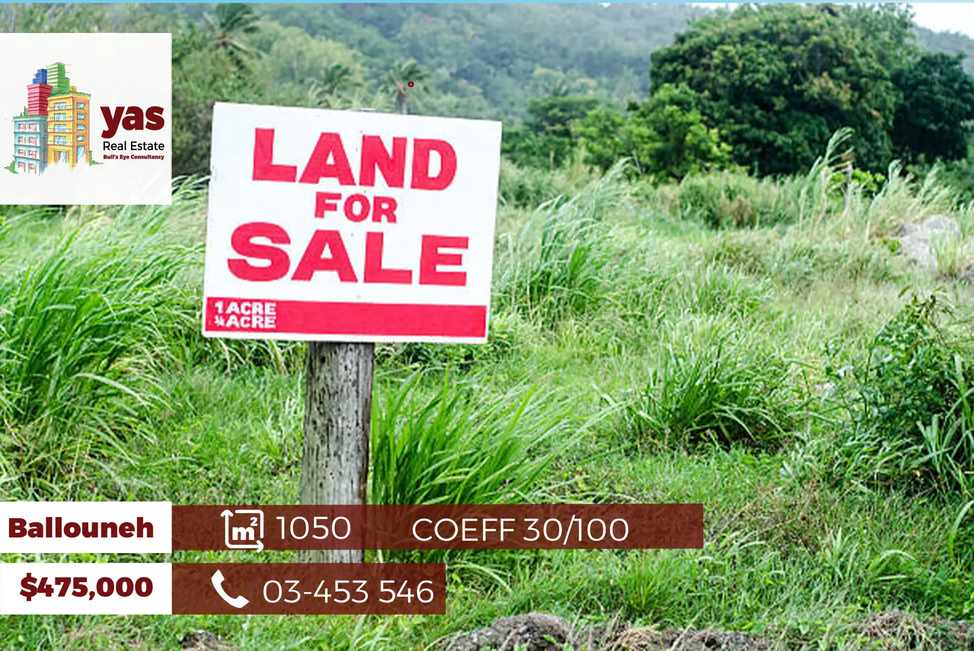 Land for Sale in Ballouneh