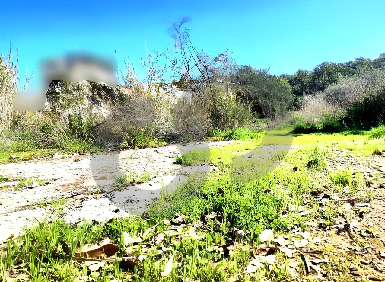 Land for Sale in Bayada