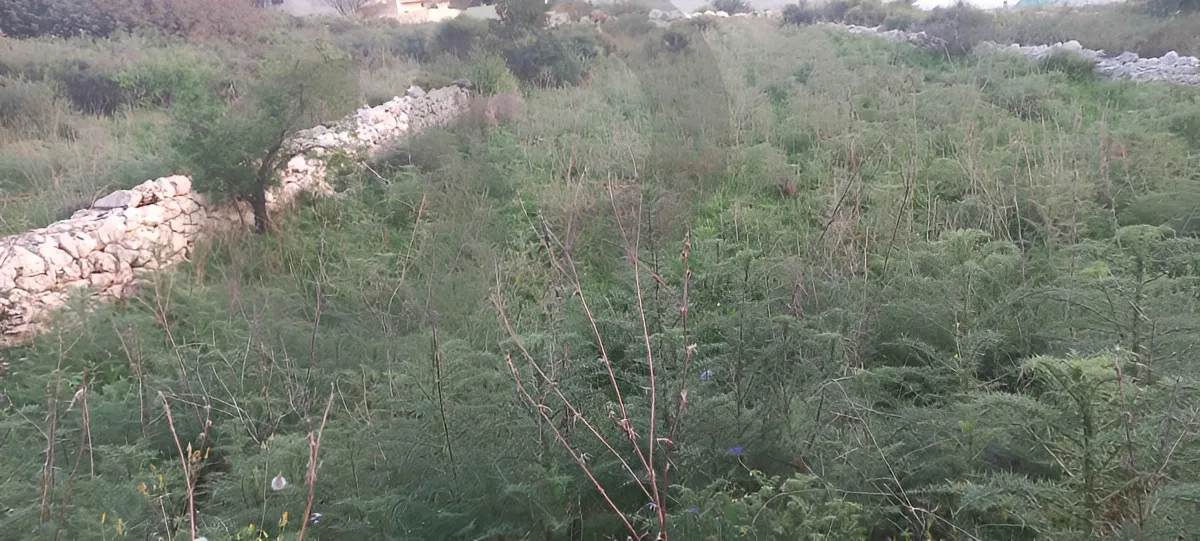 Land for Sale in Jiyeh, Lebanon