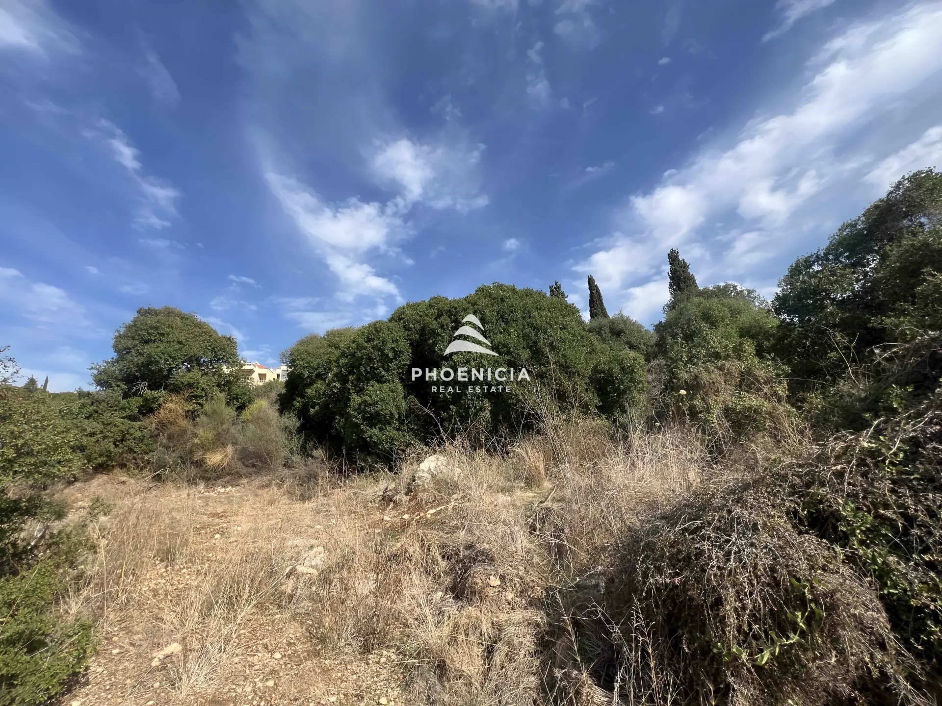 Land for Sale in Chikhane