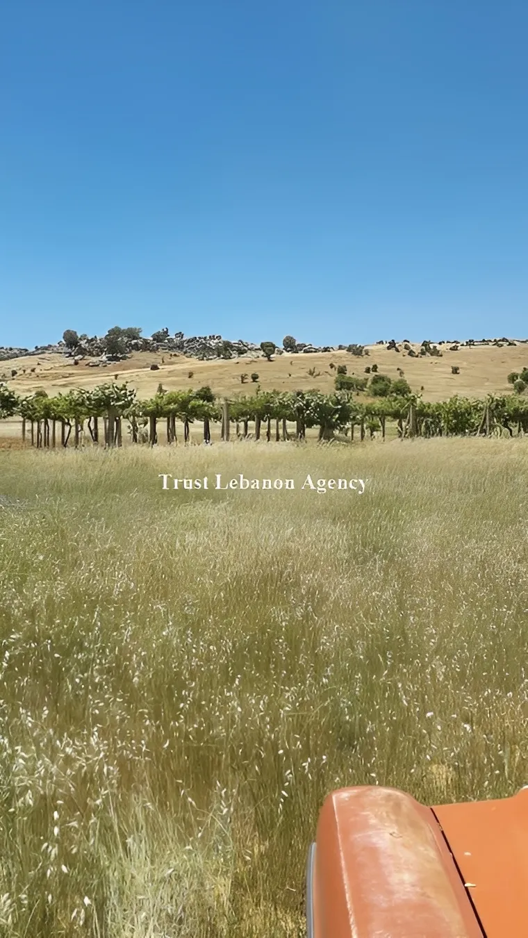 Land for Sale in Rashaya Rashaya